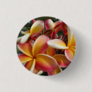 Search for plumeria badges Flower