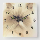 Search for persian clocks Animal