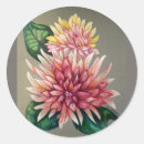 Search for chrysanthemum flower stickers Japanese