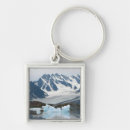 Search for icebergs key rings Arctic