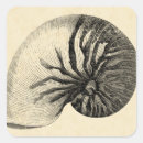 Search for ocean life stickers Seashells