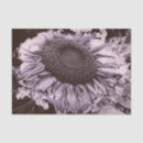 Search for mauve tissue paper Decoupage