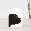 Search for white boxer dogs cards Photography