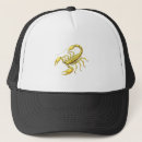 Search for constellations hats Horoscope