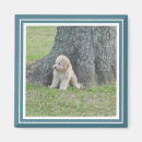 Search for instagram magnets Pictures