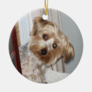 Search for yorkie christmas tree decorations Puppy