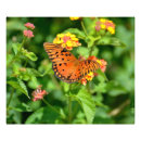 Search for fritillari art Nature
