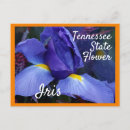 Search for state flower postcards Tourism