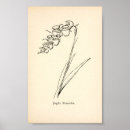 Search for flower pot posters Illustration