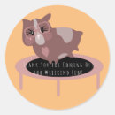 Search for pet rat stickers Cute
