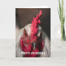 Search for rooster christmas cards Chickens