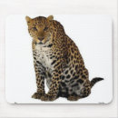 Search for leopard mousepads Animals