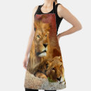 Search for lions aprons Animals