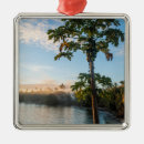 Search for fiji christmas tree decorations Coastline