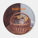 Search for casing magnets Cat