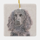 Search for boykin spaniel christmas tree decorations Dog