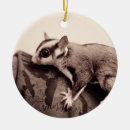Search for sugar glider christmas tree decorations Animal