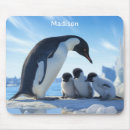 Search for cute penguins mousepads Birds