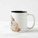 Search for bruxelles mugs Dog