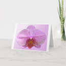 Search for sensuality cards Photography