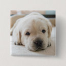 Search for sleepy badges Cute