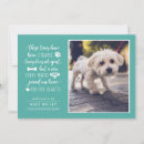 Search for new puppy invitations Cute