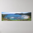 Search for hanauma posters Hawaii
