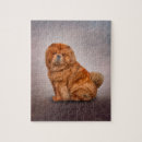 Search for chow chow dog puzzles Beautiful