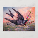 Search for swallow postcards Cute