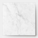 Search for standard envelopes Solid
