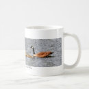 Search for waterfowl mugs Wildlife