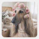 Search for afghan stickers Dog
