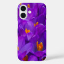 Search for crocuses electronics Nature