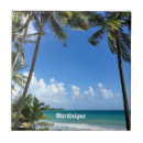 Search for caribbean tiles Tropical island