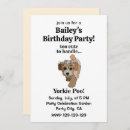 Search for yorkie birthday invitations Pet
