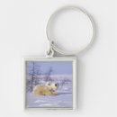Search for frozen key rings North america