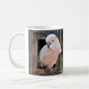 Search for cockatoo mugs Pink