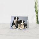 Search for blank thank you cards Dog