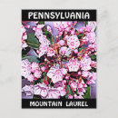 Search for laurels postcards Connecticut