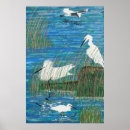 Search for home school posters Birds