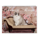 Search for cat fancy Kitten