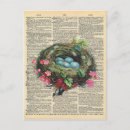 Search for robin egg postcards Bird