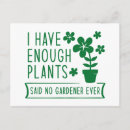 Search for enough postcards Flower