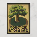 Search for protecting postcards Vintage