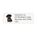 Search for bernese mountain dog return address labels Cute
