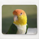 Search for bellies mousepads Nature