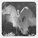 Search for infrared stickers Florida