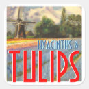 Search for hyacinth stickers Flowers
