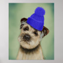 Search for border posters Animals
