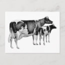 Search for black white drawing postcards Vintage